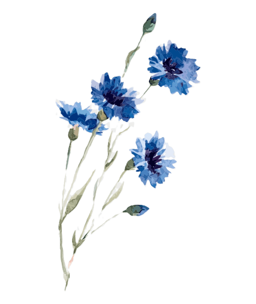 bottom left tall stems